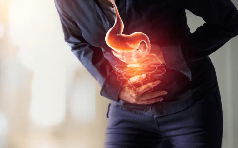 Gastrolog